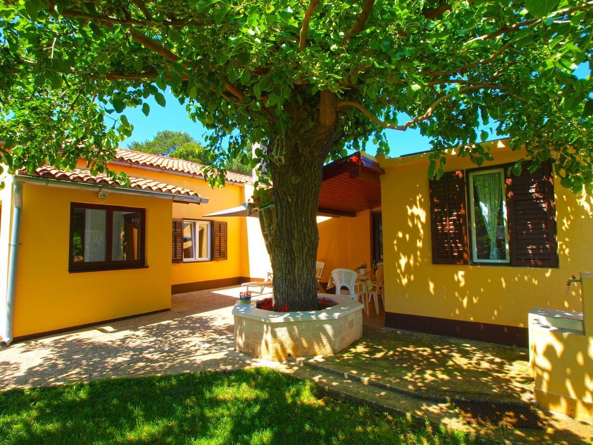Vila House 1037 Fažana Exteriér fotografie